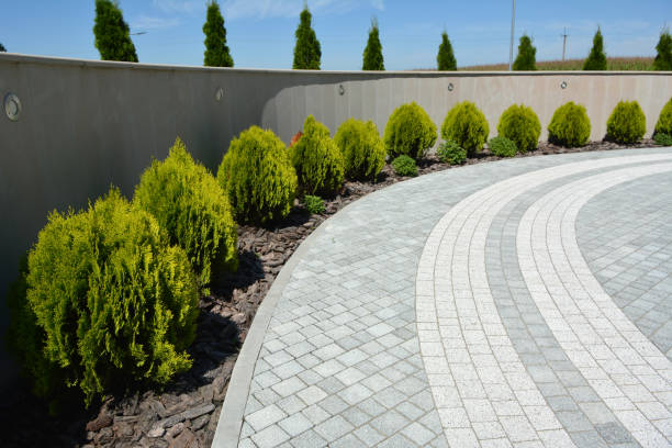 Best Concrete Paver Driveway  in Roman Forest, TX