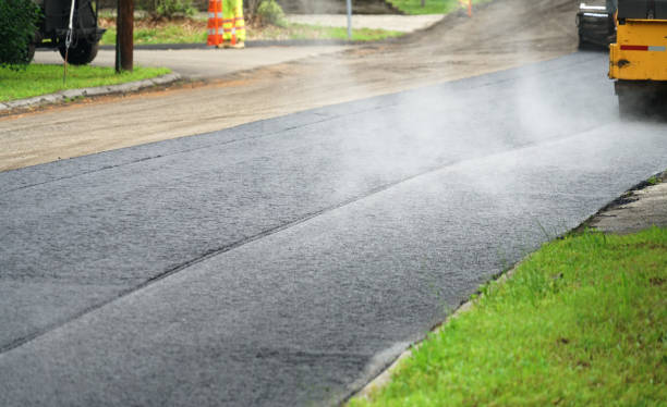 Best Custom Driveway Pavers  in Roman Forest, TX