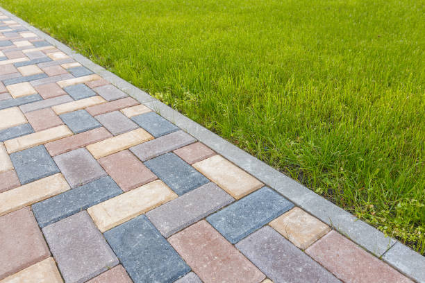 Best Driveway Repair Near Me  in Roman Forest, TX